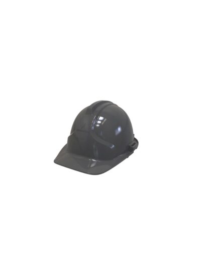 10P03 Gris - Epi